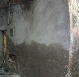 إنذار عمراني جديد بالنخيل الجنوبي