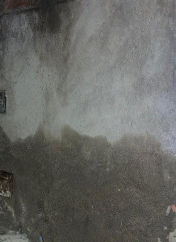 إنذار عمراني جديد بالنخيل الجنوبي